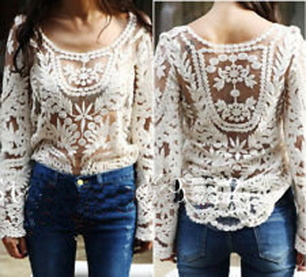Embroidered Beige Lace Sheer Top