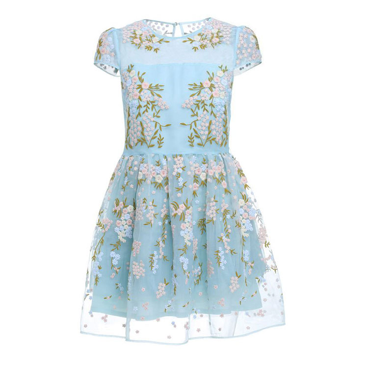 Floral Embroidery Short Dress